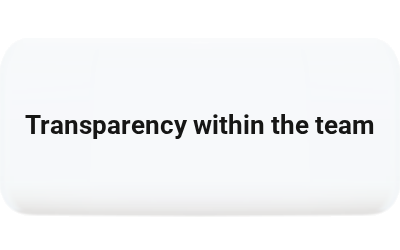 Transparency within the team with task management software